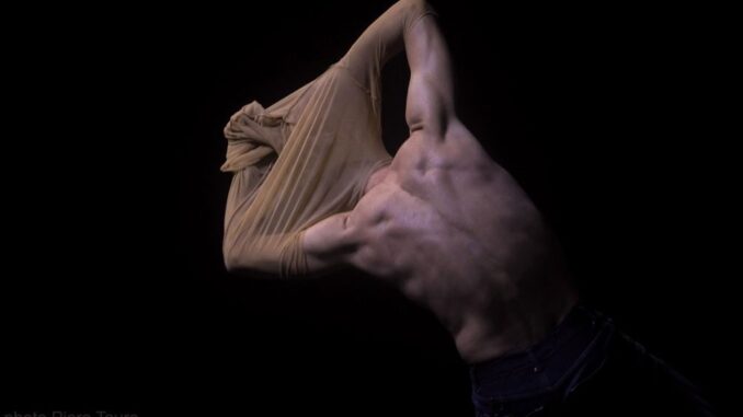 Foto copertina Articolo Di Muzio